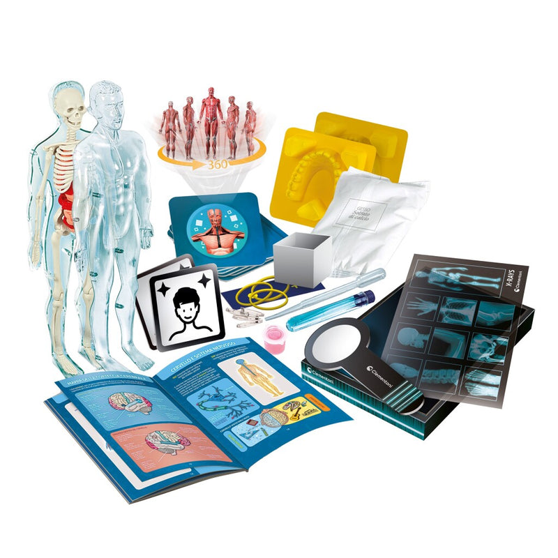 Laad de afbeelding in de Gallery-viewer, Clementoni Wetenschap Super Anatomie