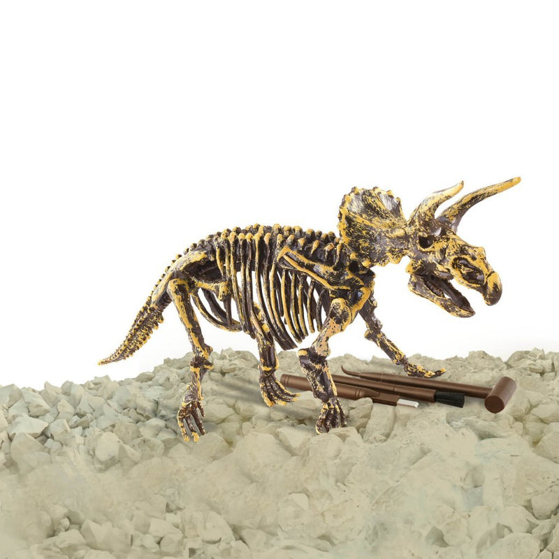 Laad de afbeelding in de Gallery-viewer, Dinobase Dino 3D Triceratops Skelet