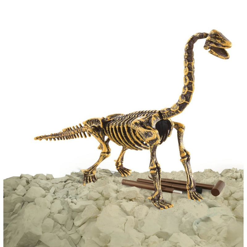 Laad de afbeelding in de Gallery-viewer, Dinobase Dino 3D Brachiosaurus Skelet