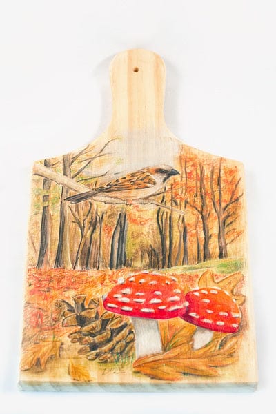 Laad de afbeelding in de Gallery-viewer, Faber Castell Fc-110012 Kleurpotlood Polychromos 3,8Mm Kerndikte Etui à 12 Stuks