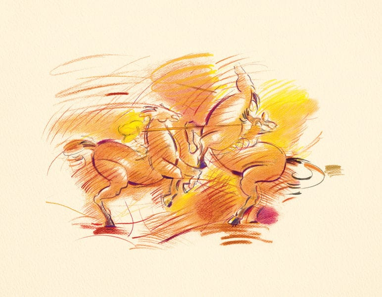 Laad de afbeelding in de Gallery-viewer, Faber Castell Fc-110012 Kleurpotlood Polychromos 3,8Mm Kerndikte Etui à 12 Stuks