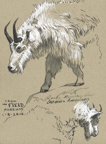 Laad de afbeelding in de Gallery-viewer, Faber Castell Fc-167151 Tekenstift Faber-Castell Set Pitt Artist Pen Zwart En Wit