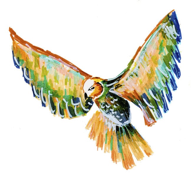 Laad de afbeelding in de Gallery-viewer, Faber Castell Fc-167151 Tekenstift Faber-Castell Set Pitt Artist Pen Zwart En Wit