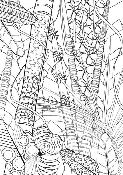 Laad de afbeelding in de Gallery-viewer, Info Notes In-8722-08 Creative Kleurvel A5 Colour & Relax Voor Volwassenen