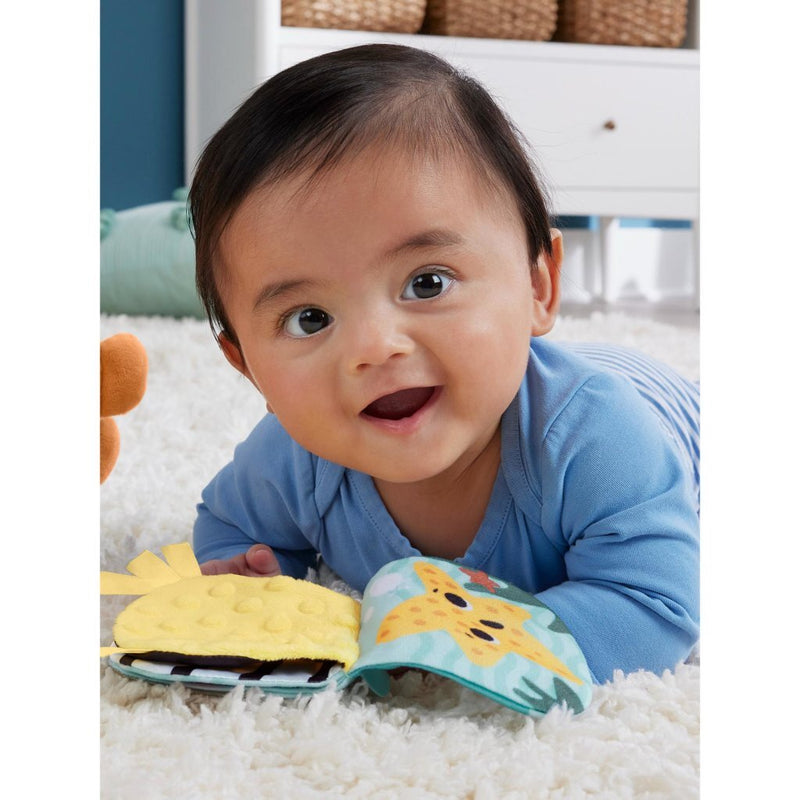 Laad de afbeelding in de Gallery-viewer, Fisher Price 2In1 Schommelende Otter Knuffel
