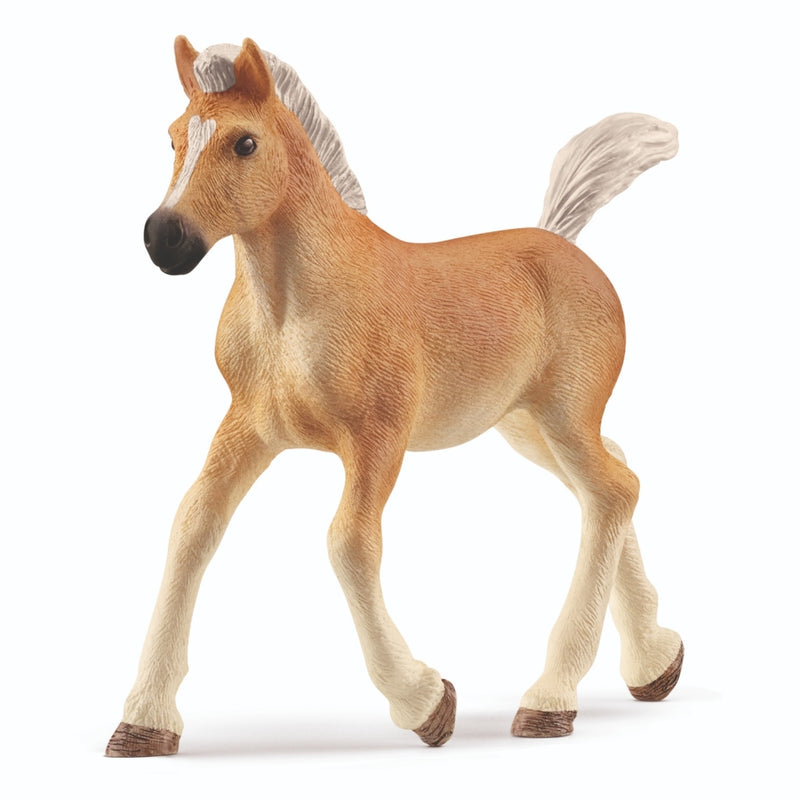 Laad de afbeelding in de Gallery-viewer, Schleich Haflinger Veulen
