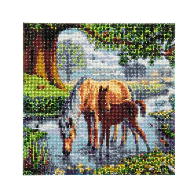 Laad de afbeelding in de Gallery-viewer, Craft Buddy Crystal Art Diamond Painting Paarden
