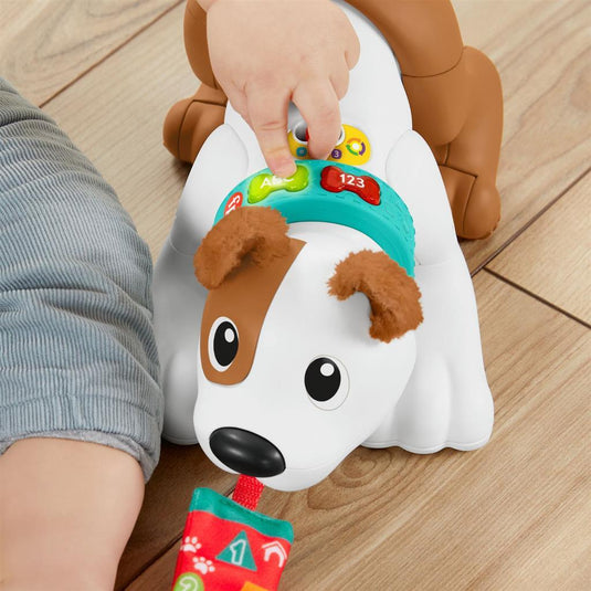 Fisher Price Crawl With Me Puppy + Licht En Geluid