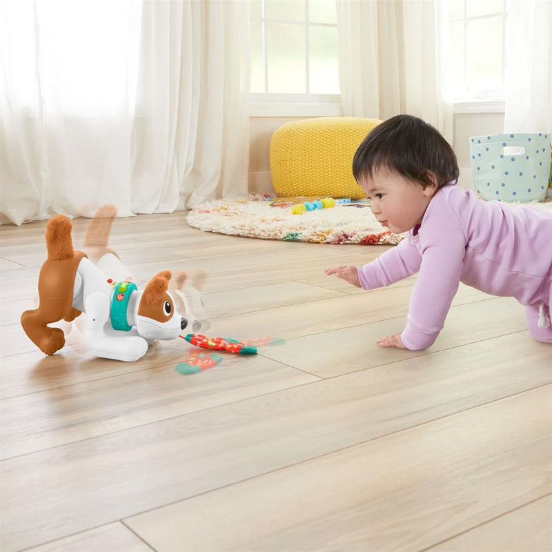 Laad de afbeelding in de Gallery-viewer, Fisher Price Crawl With Me Puppy + Licht En Geluid
