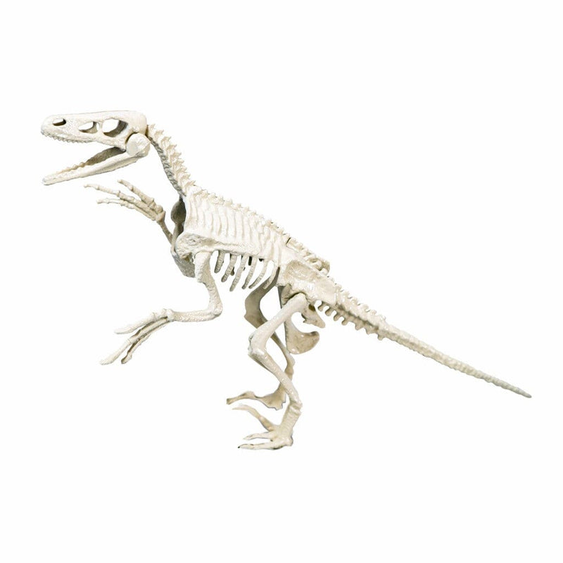 Laad de afbeelding in de Gallery-viewer, Clementoni Archeospel Velociraptor

